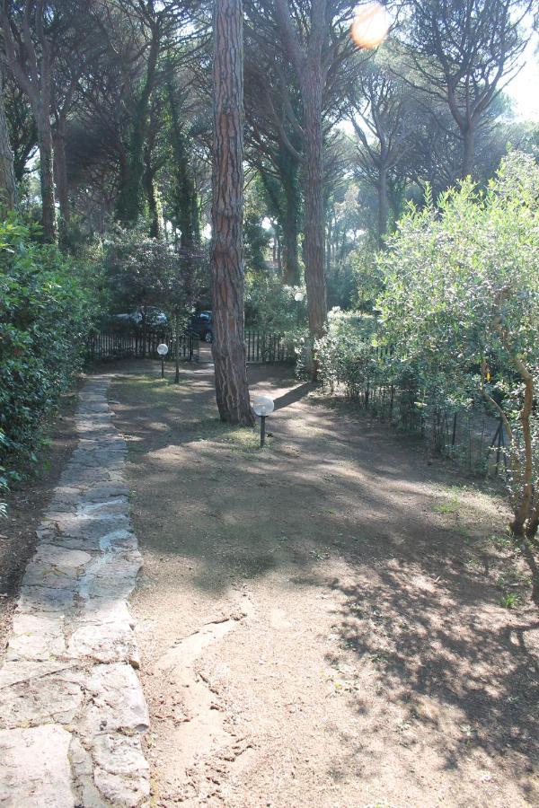 Holiday home Filippi Pineta- Terra/tetto A 200m. Dal Mare *